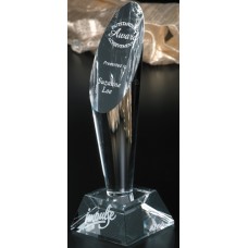 Crystal Award - Performer Award #5824