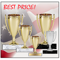 Cups - Econo Stipple Cups BEST PRICE!