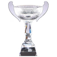 Cups - CRY126 - Optical Crystal Trophy - 15"