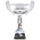 Cups - CRY126 - Optical Crystal Trophy - 15"