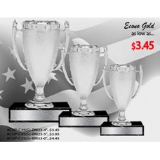 Cups - Econo Silver  Cups-6"