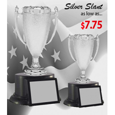 Cups - Econo Slant Silver Stipple - 11"