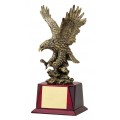 Eagle Award - #Gold Eagle in Flight 12"