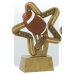 Resin Trophies - #6" Resin Star Sports Awards