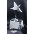 Star Awards - Silver Star Award