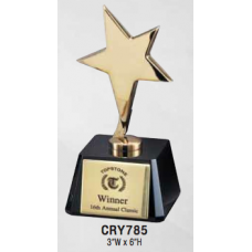 Star Awards - Gold Star Award