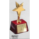 Star Awards - Gold Star Award on Rosewood
